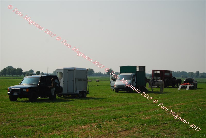 DSC_4930.JPG